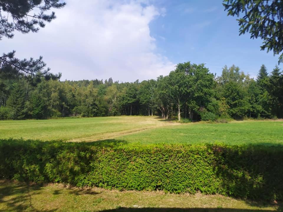 Chalet Du Spiemont Champdray Dış mekan fotoğraf