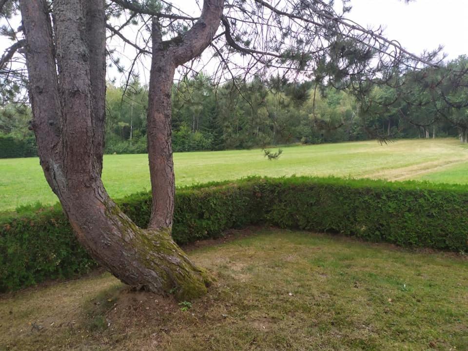 Chalet Du Spiemont Champdray Dış mekan fotoğraf